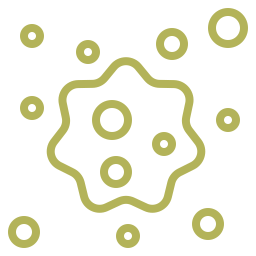 Mold or Mildew Concerns